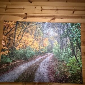 Easy Canvas Prints Photo Printed on Canvas 16 X 20. Ready to Hang. Fall Scene